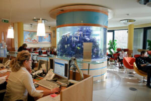 Reception and waiting area